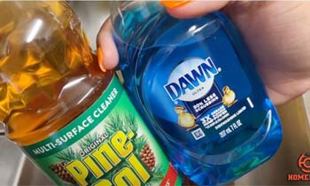 Can You Mix Pine Sol and Dish Soap