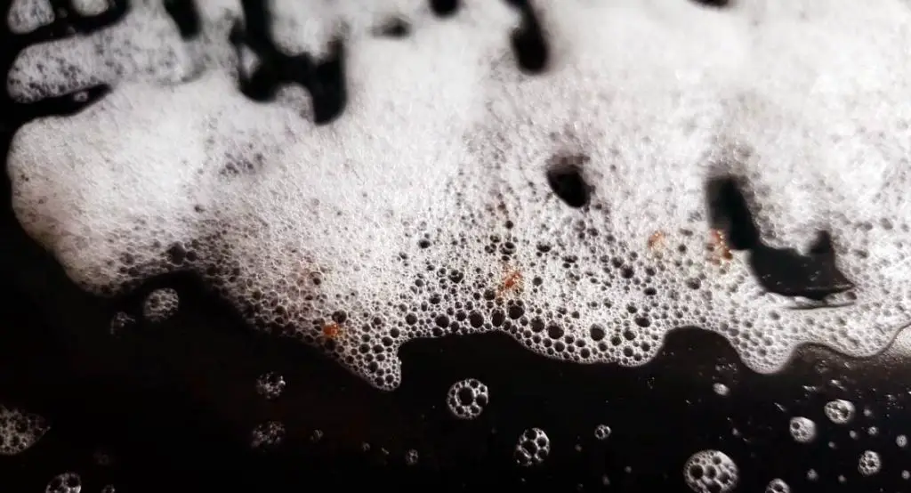 Dish Soap Spray on the Ants
