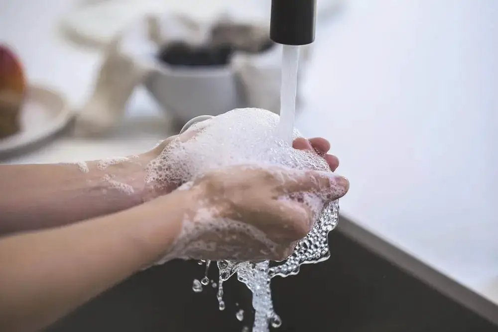Hand Soap vs Dish Soap Difference Between Both