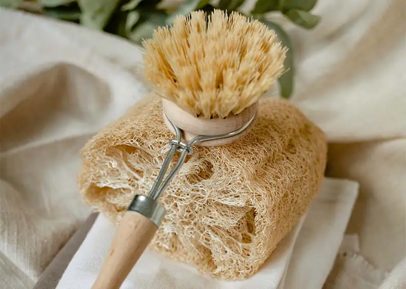 How To Use Bar Soap With a Loofah? - The Ultimate Guide