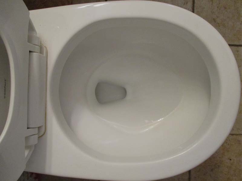 How to Get a Soap Bar Out of a Toilet? - The Easy Way