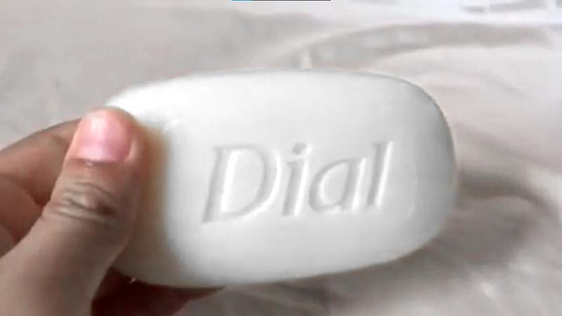 Is Dial Bar Soap Good for Your Skin? The Results Are In!