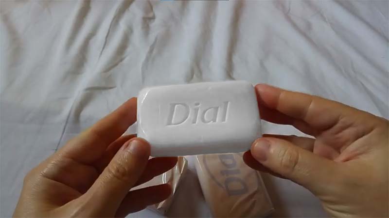 Is Dial Bar Soap Good for Your Skin? The Results Are In!