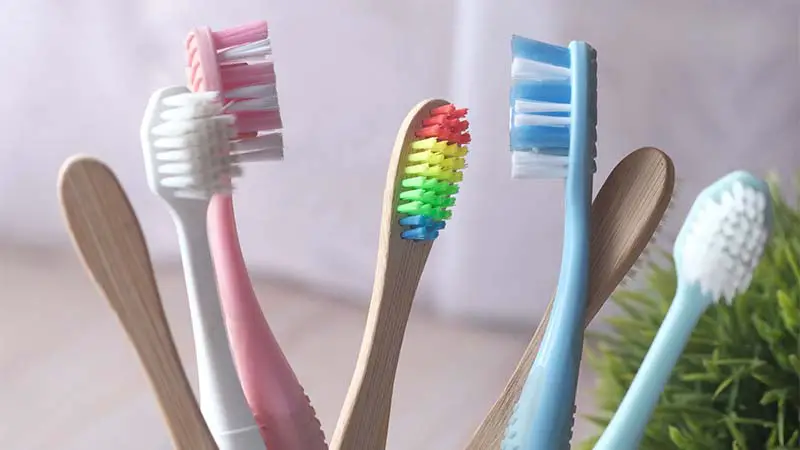 What Is The Back Of The Toothbrush For?