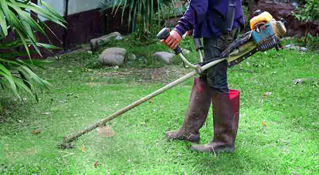 How Much Gas Does a Weed Eater Use Per Hour?