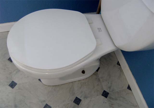 How Often To Replace Toilet Flapper?