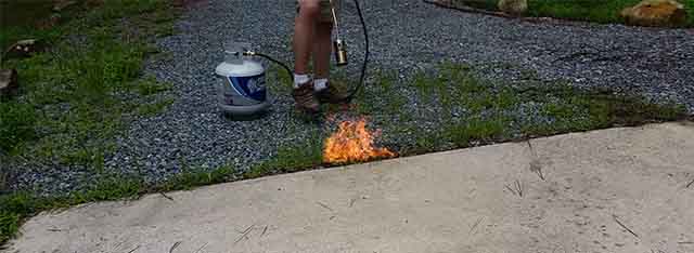 How To Burn Weeds With A Blowtorch? (Step-by-Step Guide)