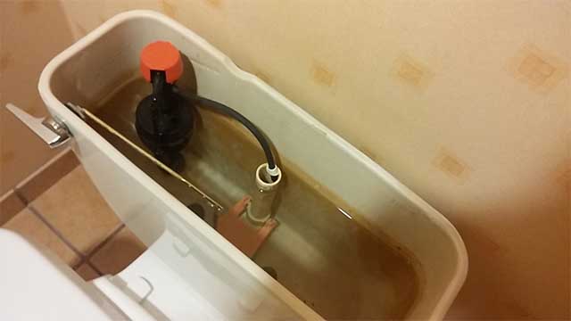 toilet tank leaking into bowl not flapper