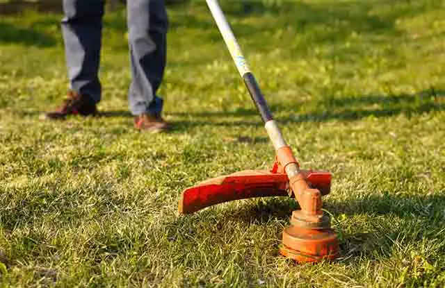 Can I Use an Electric Weed Eater on Wet Grass?