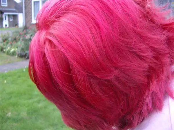 Purple Shampoo Over Pink Hair